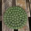 Hand Made Wool Felt Coasters Prevent Scalding Tableware Placemat Dinner Mats  Table Display