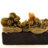 Stones and Minerals. Pyromorphite. 186.15 Ct. Les Farges Mine, Ussel, Corrèze, France.