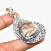 Silver Leaf Jasper Gemstone 925 Silver Plated Jewelry Pendant 2.34"
