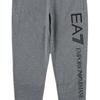 Emporio Armani Мужские джоггеры с принтом, зауженные, брюки, низ 8NPPC3-PJ05Z-3910