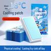 Summer Cooling Patch: Refreshing Relief for Heat & Fever, Mobile Phone Heat Dissipation, Heatstroke Prevention Ice Pack.