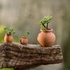 Exquisite Clay Plant Pots for Creative Crafts and Baby Bath Decor Set of 2