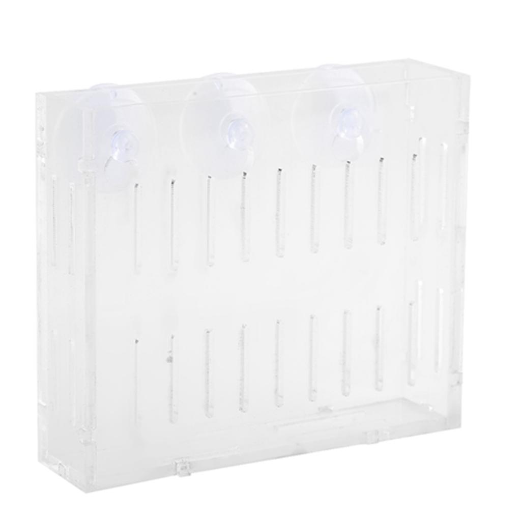 Аквариумный Растение Водная Трава Чаша Ландшафтные Растения Культивация Бассейн Чаша с Присосками