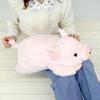 Sun Arrow Cushy Pig Plush