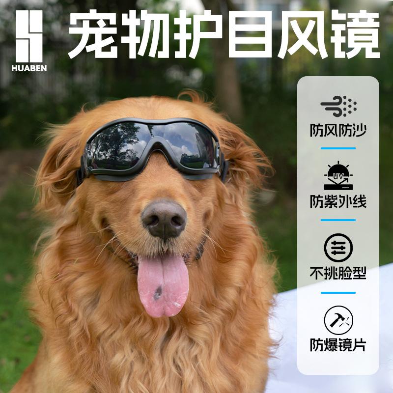 Pet glasses, dog sunglasses, protective goggles, UV protection, soft frame, snug fit, dog sunglasses for Golden Retrievers and Bichons