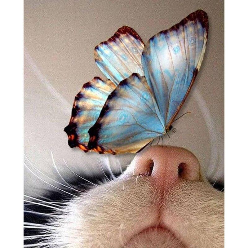 Новый 5D DIY алмазная живопись кошка/бабочка Алмазная вышивка животное вышивка крестиком полная круглая дрель ремесла домашний декор подарок