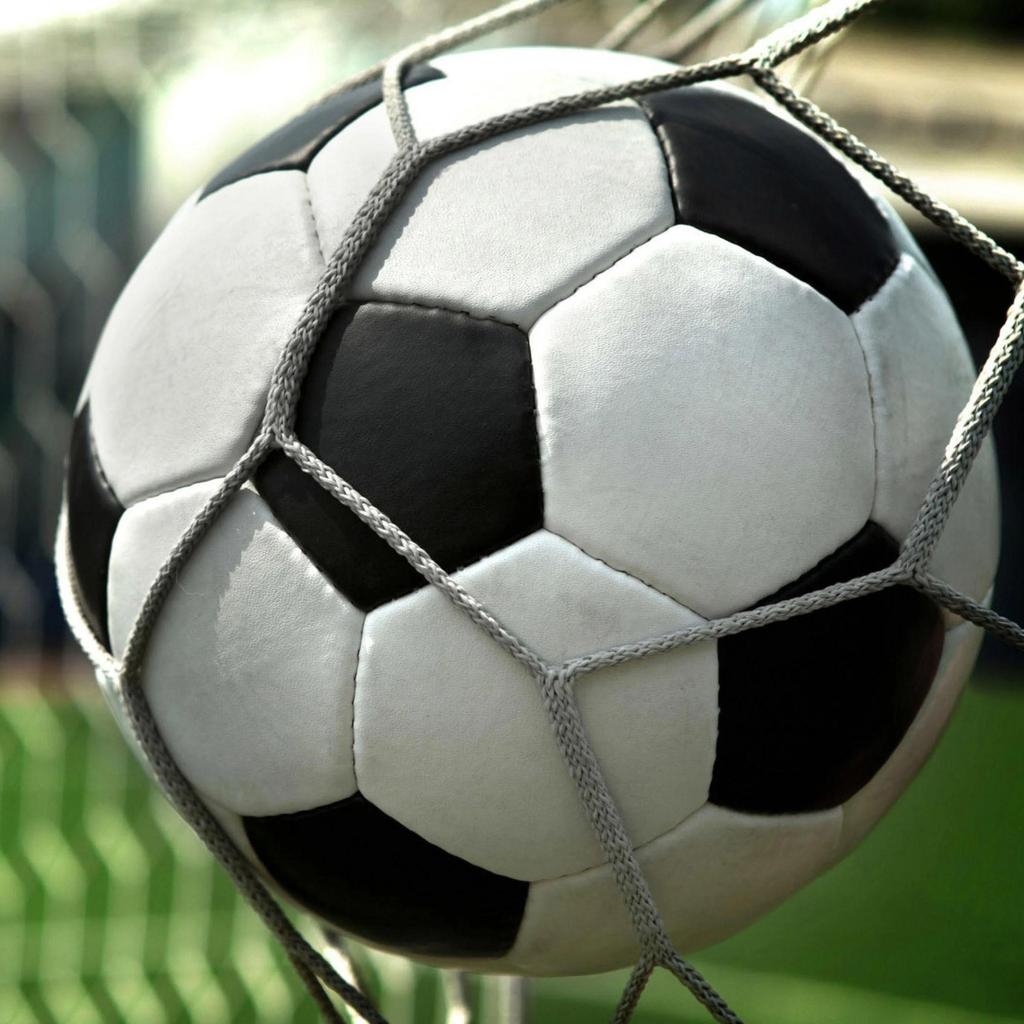 THAILAND National Football Soccer Training JERSEY CHEER Print Quick Dry Shirt V Neck Polyester Short Sleeve Uniform Elephant Logo Sport Outdoor