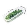 Durable PP Material Airtight Food Storage Container Home Kitchen Organizers For Organizing Scallions Ginger Garlic