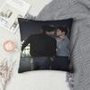 Revenged Love Чи Чэн Тянь Сюньин Цзыюй Печатная Наволочка Чехол для Подушки Подушки Декор Спальни На Молнии Несколько Размеров