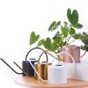 1.3L Watering Can for Indoor Plants  Flower Long Spout Watering Can Water Can with Ergonomic Handle