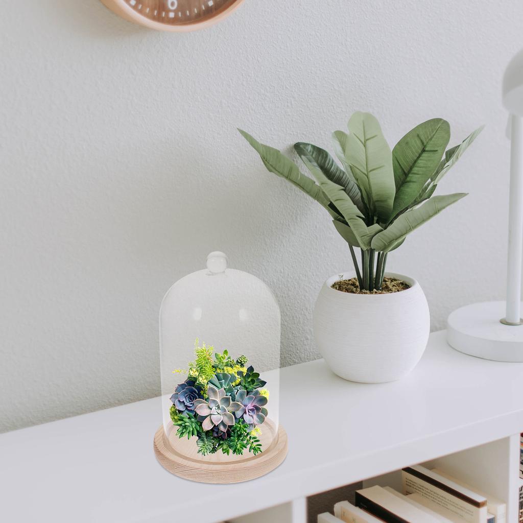 Декор для столешницы Сухоцветы Стеклянная крышка Ваза Прозрачные украшения Деревянные консервированные