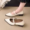 Fashion 2025 New  Spring and Autumn Women's Jane Pointed Shoes Korean Style Ladies' Casual High Heels Work and Party Wear