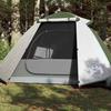 Camping Tent - vidaXL - 2 Persons - Waterproof - Green - Lightweight and Portable