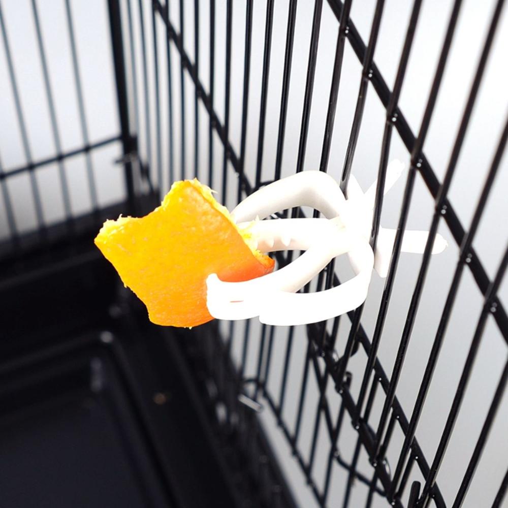 Plastic Fruit Pet Cage Accessories Bird Food Holders Parrot Feeder Feeding Clamp Cuttlebone Clip