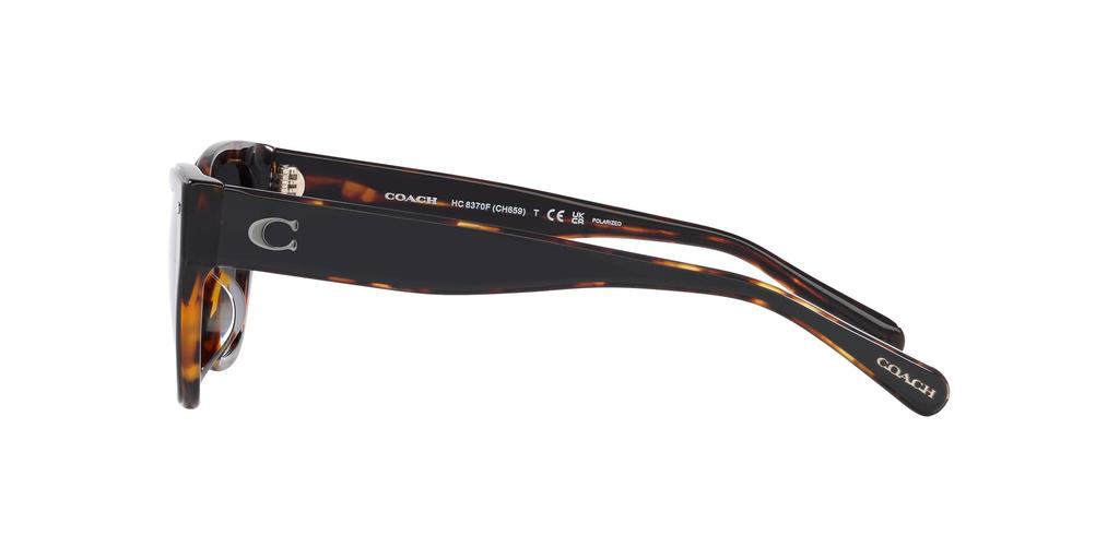 Sunglasses HC8370F CH660 TORTOISE GRADIENT POLAR Lens 56 [Coach] BLACK/DARK Frame/GREY
