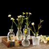 INS Mini Glass Vase Прозрачная гидропонная ваза для растений Настольные украшения Цветочные вазы для украшения центра дома Свадебная вечеринка Декор