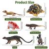 TOYMANY Фигурка животного Мадагаскара Реалистичная дикая природа Животная модель джунглей Популярный день рождения Новый возраст 6 лет и старше Набор из 12 штук, Игрушки, Набор, Игрушка, Подарок,