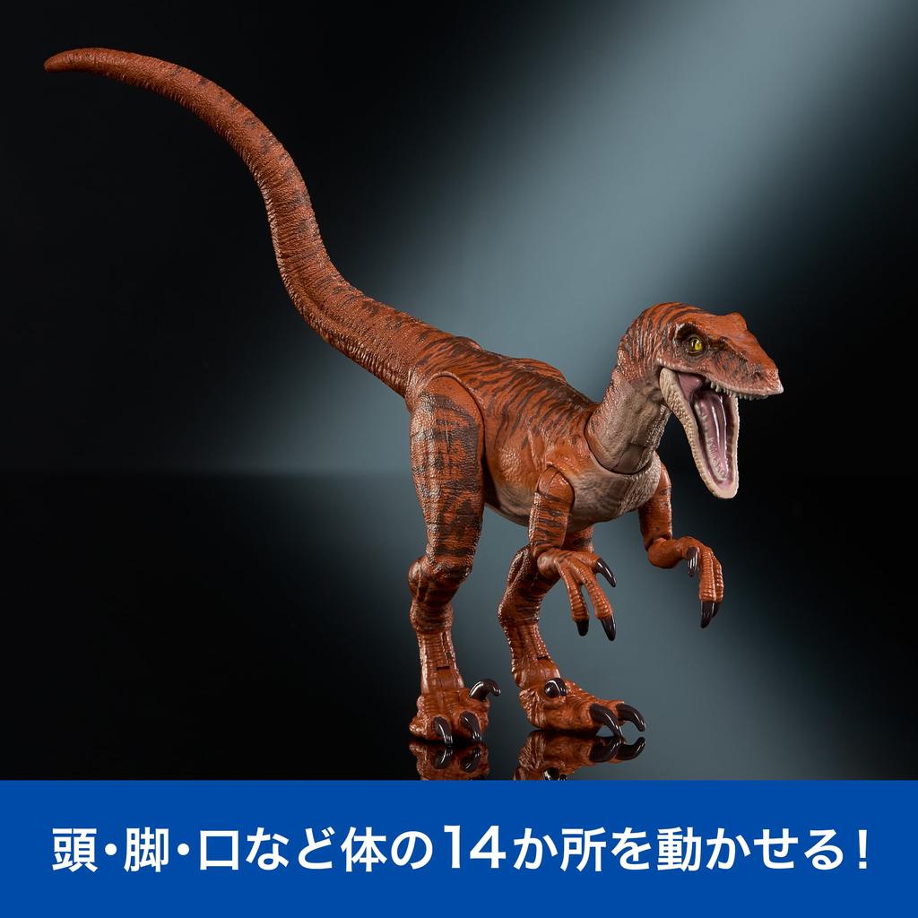 Mattel Jurassic World Hammond Collection Velociraptor Tiger Figure for Moving Dinosaur Approximately Inches Ages 8 and JDJ09 Kids, Toy, Large, 7.5