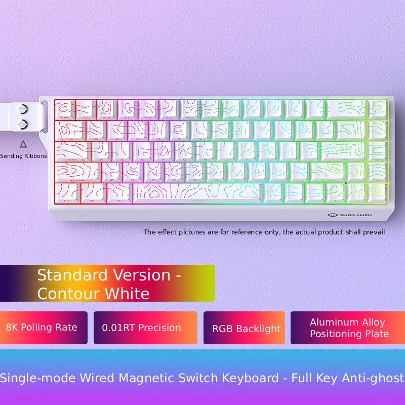 Low Noise USB Wired Keyboard 8K Return Hot Swap 0.01mm RT Custom RGB 65% Layout Size E-Sports Mechanical Gaming Keyboard
