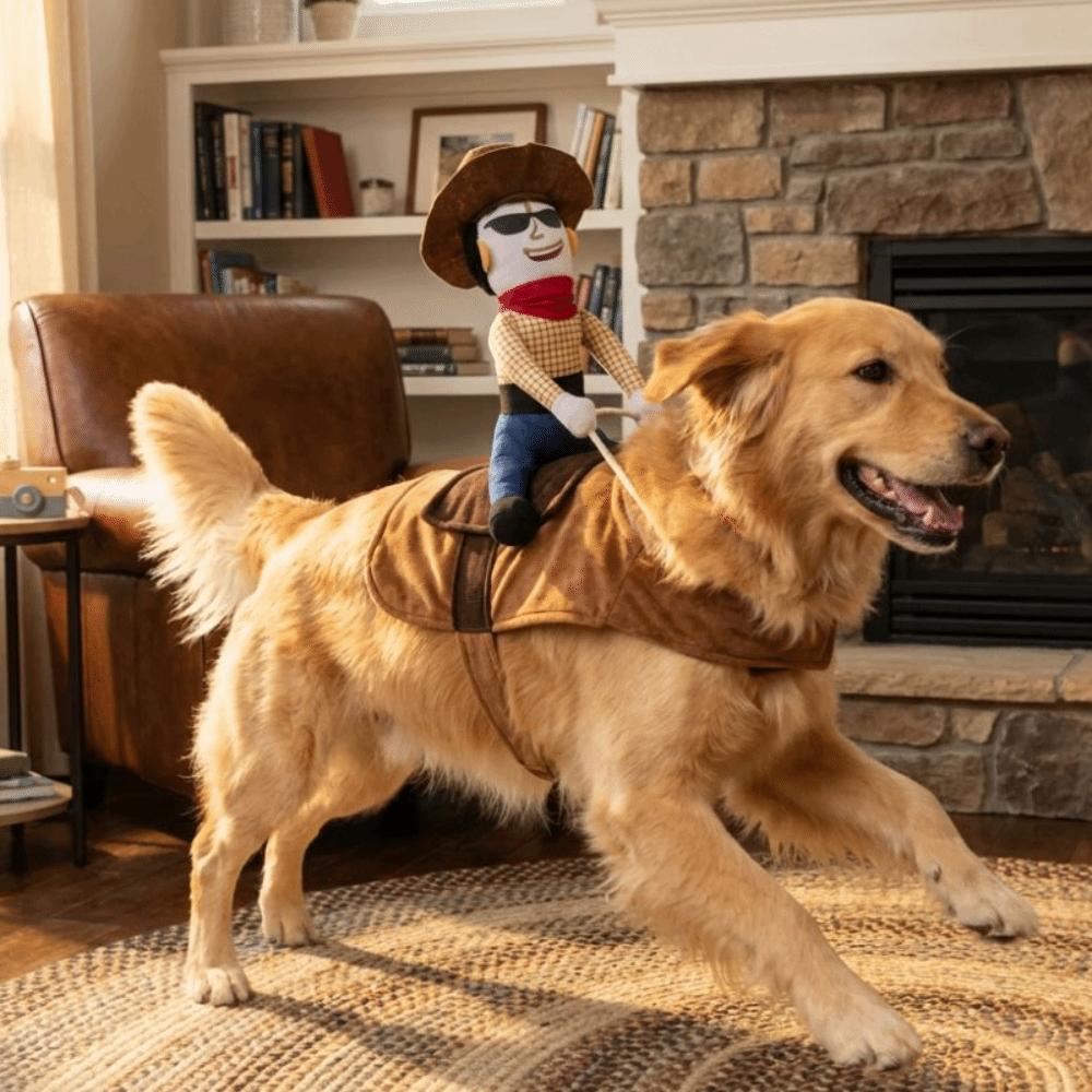 Adjustable Dog Riding Denim Clothing Novelty Cat Party Dressed Up Halloween Dog Clothes Gift