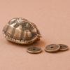 Мини-фигурка из панциря черепахи, кулон, брелок для ключей на удачу, аксессуары, креативный маленький