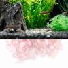 100 grams Polished Crushed Stone Fragments 5-7mm Decorative Rocks  Aquarium Fish Tank