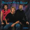 CD DESERT ROSE BAND - Pages Of Life MCAD42332 Curb Records, M 1990 US Rock Used