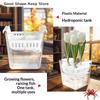 4 Holes Soilless Flower Pot Home Decoration Hydroponic Containers With Breathable Support Basket Tulip Seed Hydroponic Flowerpot