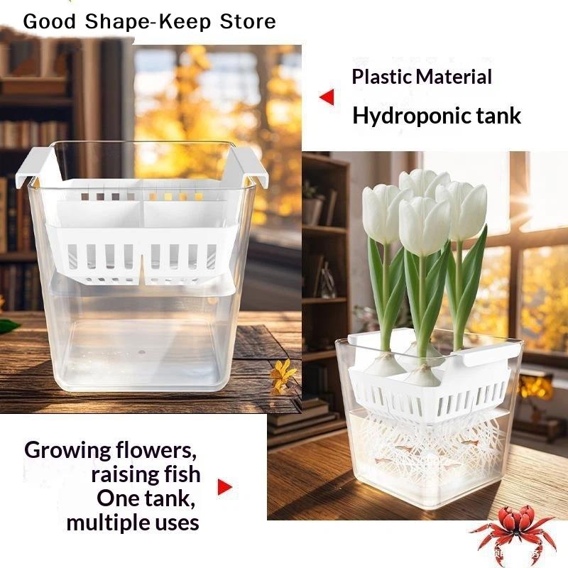 4 Holes Soilless Flower Pot Home Decoration Hydroponic Containers With Breathable Support Basket Tulip Seed Hydroponic Flowerpot