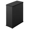 Iris Ohyama Trash Can 30L Can Be Separated In One Unit Beautiful Side by Side Slim Steel Pail Black STPL-30