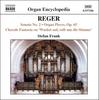 CD FRANK (STEPHAN), REGER; STEPHAN FRA - Reger: Organ Works Vol. 5  Europe ObiMusic Others Used