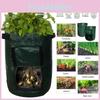 Versatile And Sturdy 10 Gallon Reusable Bags For Growing Fresh Produce Anywhere