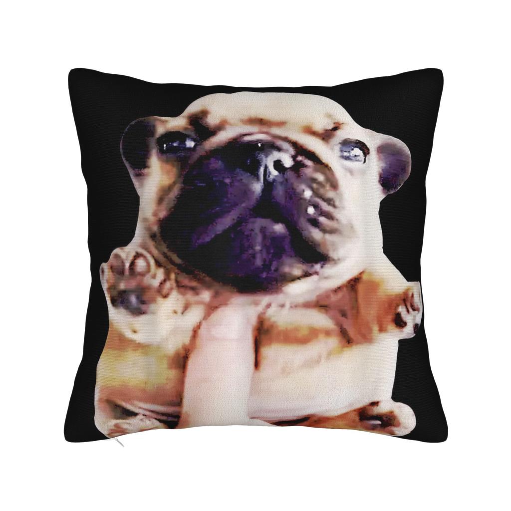 I Am Pibble Dog Puppy Wash Clean My Belly Funny Meme Pillow Cover Soft Cushion Cover Fashion Pillow Case For Bedroom Home Decor
