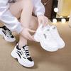2025 Autumn Mesh New Ins Women's Travel Shoes Sports Shoes Breathable and Versatile To Increase Height and Show Feet Little Dad Shoes