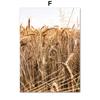 Autumn Bridge Lake Forest Wheat Grass Fall Posters Prints Canvas Painting Nordic Wall Art Pictures For Living Room Home Decor