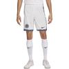 Интер МиланDri Fit FW24 Футбольные штаны Мужские Summit White FQ6609-121
