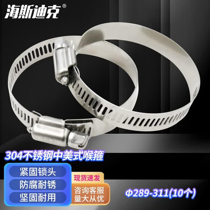 Haisidike 304 Stainless Steel American Hose Clamp