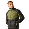 Regatta Mens Dalent Padded Jacket