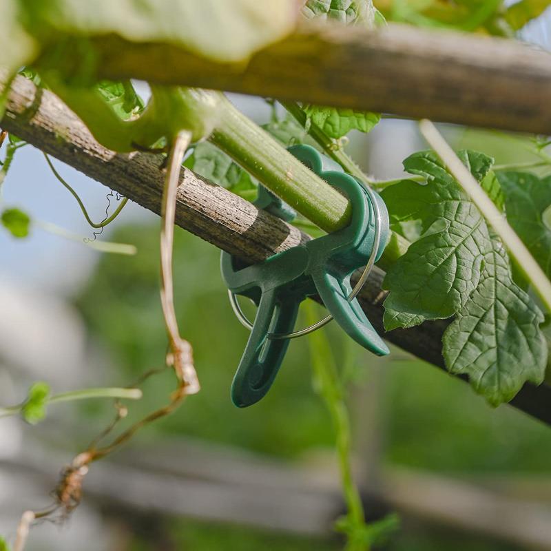 1/5/10/20Pcs Plant Fixed Clips Reusable Garden Bracket for Fixed Plants Vine Flower Seedling Tomatoes Support Garden Supplies Garden Tools