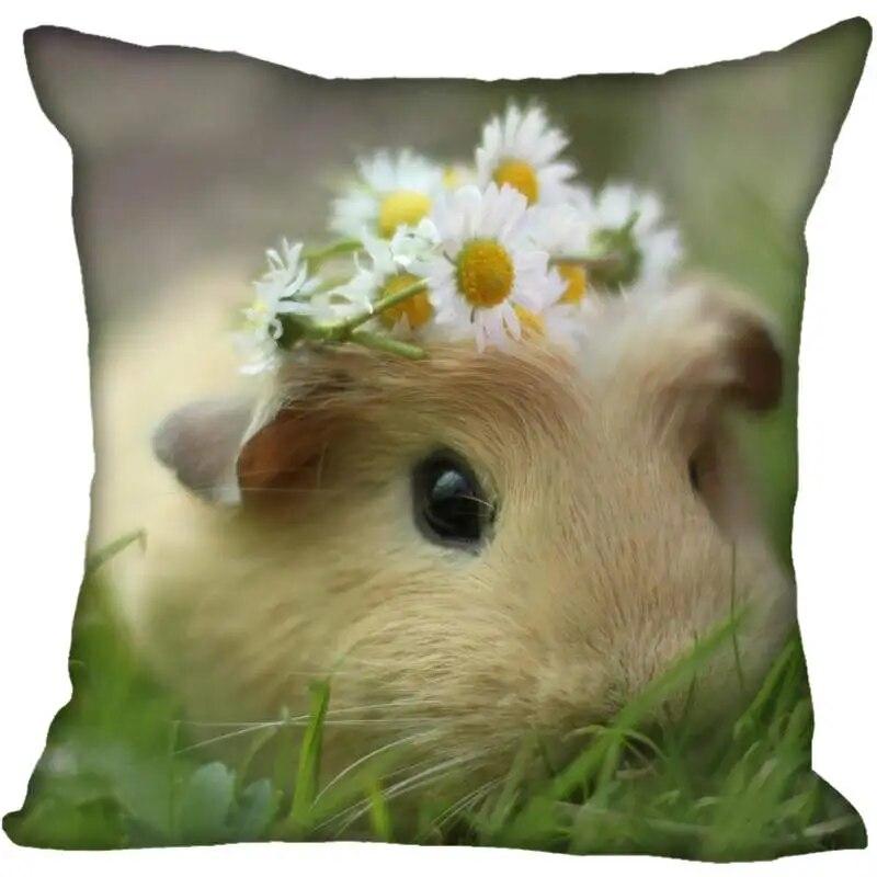 Наволочка для гостиной с морской свинкой в ​​современном доме