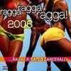 LP Record VARIOUS - Ragga Ragga Ragga 2006 GRELP289 Greensleeves 2006 UK Reggae, Ska & Dub