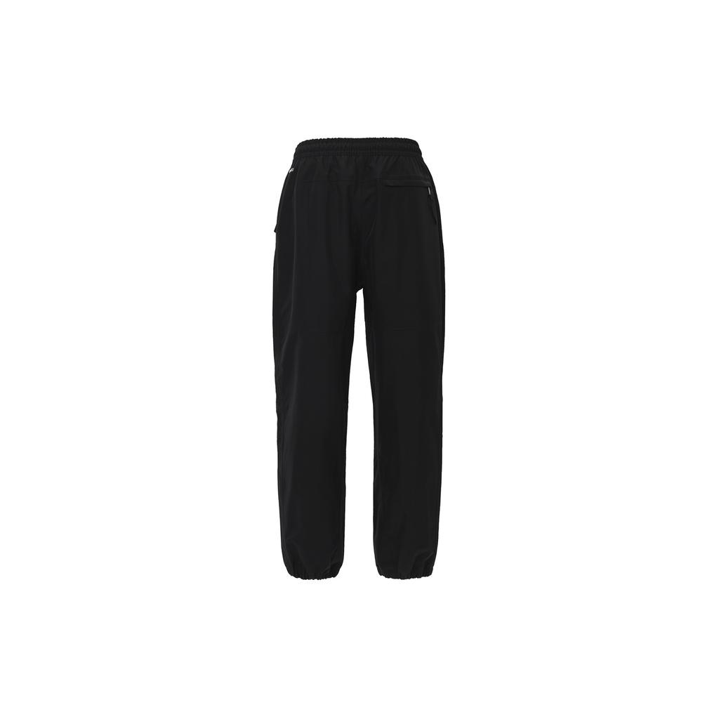 The North Face Мужские брюки Gtx Mountain NF0A831L-JK3