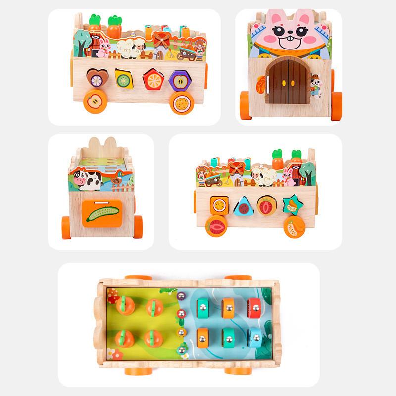 Themed Farm Animal Wooden Brain Teaser Puzzle For Preschool Educational Games