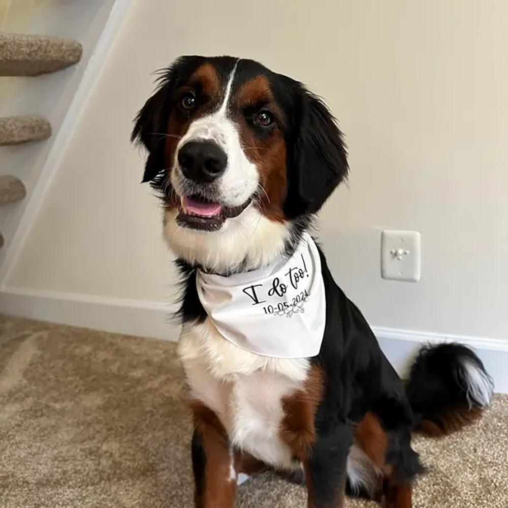 Персонализированная свадебная бандана для собаки "Я тоже!" Украшение для девичника, одежда для собак, фотосессия, подарок