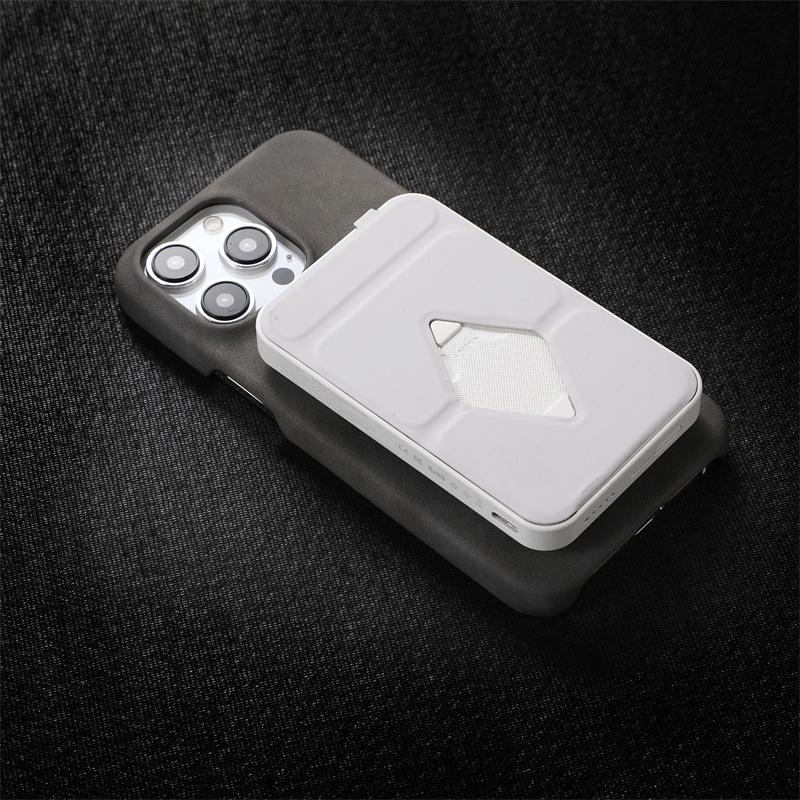 Магнитный чехол и наклейка для iPhone 17 Pro Max с текстурой натуральной кожи