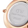 ZEGAREK DAMSKI DANIEL WELLINGTON DW00100168 - CLASSIC PETITE SHEFFIELD 32mm (zw504a)