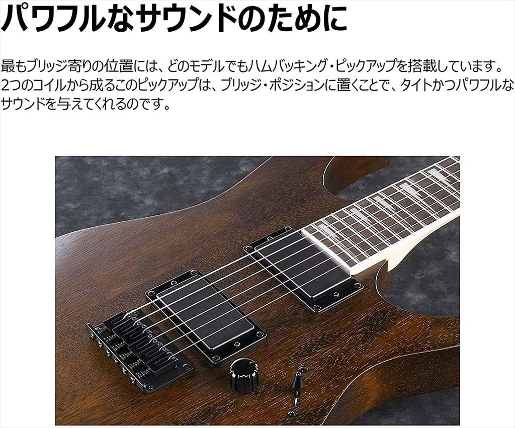 GIO Ibanez Beginner's Electric Guitar (BlackFlat) GRG121DX-BKF