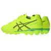 Asics DS LIGHT JR GS 1104A054 Soccer Size 750 Size 2E Shoes, Unisex, (Safety Yellow/Black), 24.0 Cm,