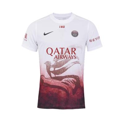 Nike × Коллаборация Paris Saint-Germain Teamwang 25/26 Домашняя Предматчевая Тренировочная Футболка Dry-Fit Унисекс Топы 23167158