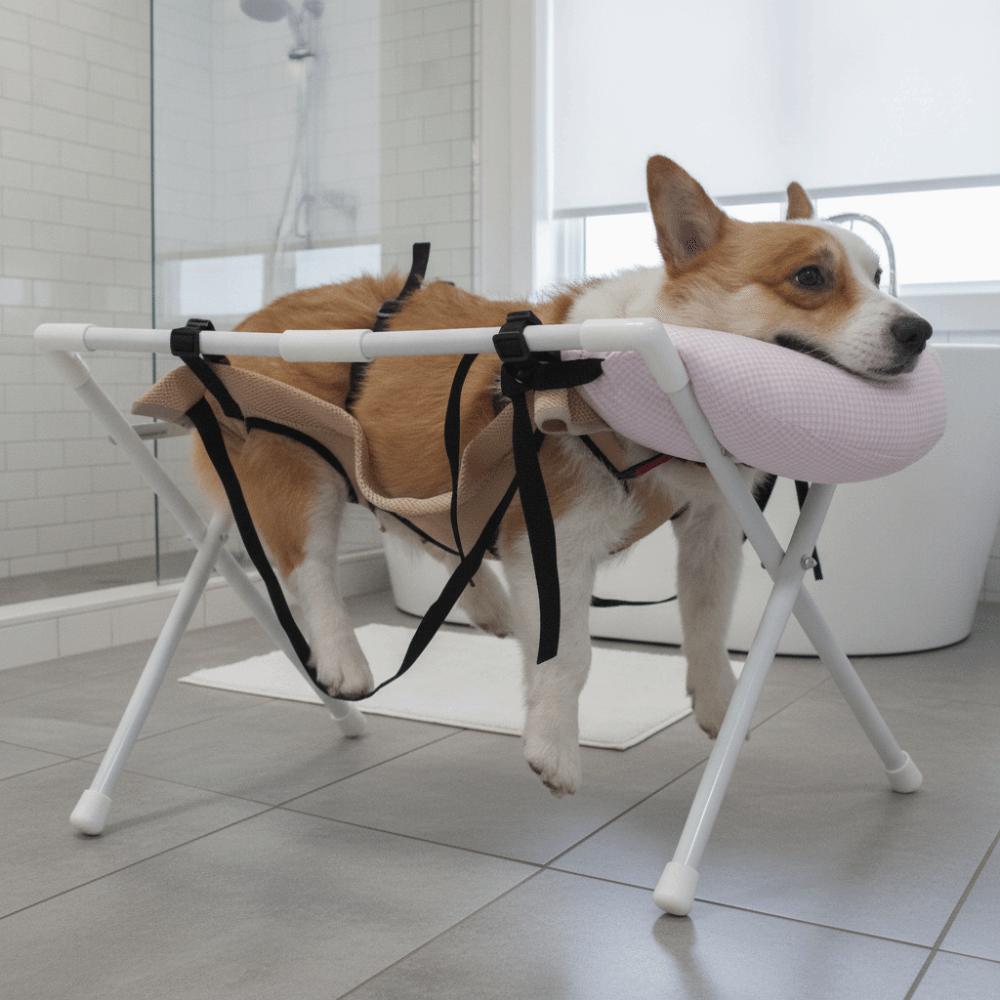 Folding Cat Bathing Rack Quick-Dry Mesh Pet Grooming Hammock Grooming Accessory